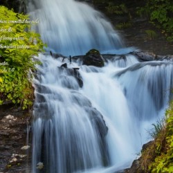 The Fountain of Living Waters
